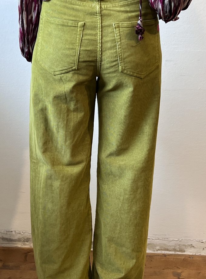 Pantalone Scarlett in velluto I love my pants