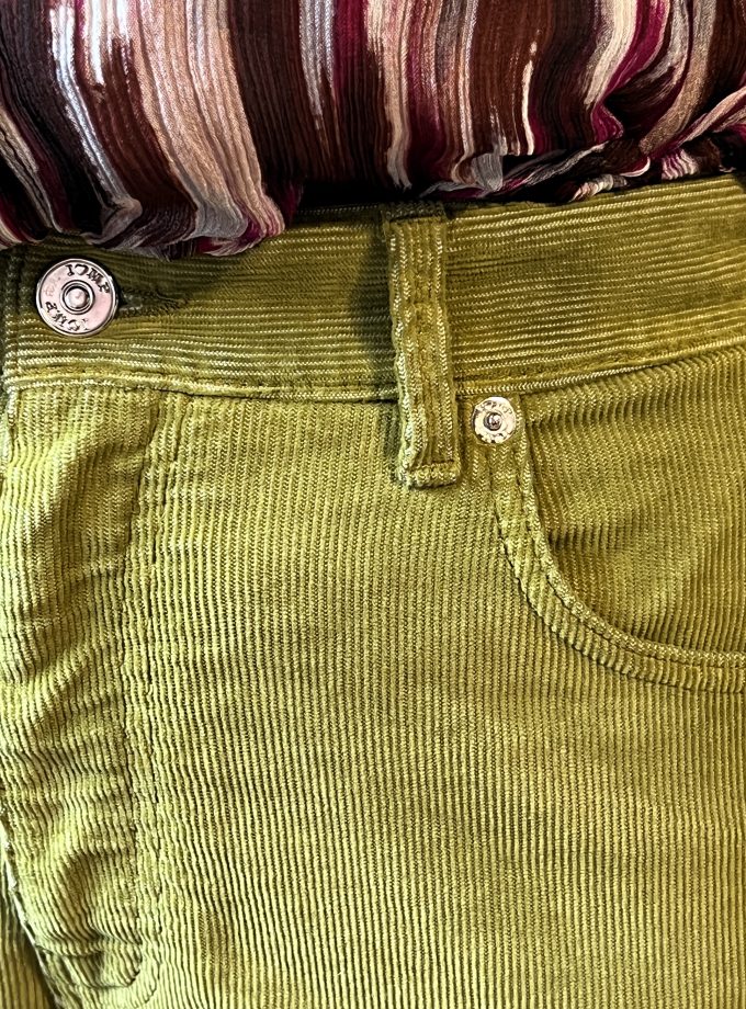 Pantalone Scarlett in velluto I love my pants